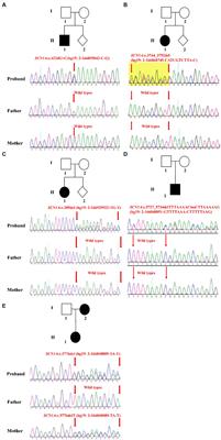 Identification of five novel SCN1A variants